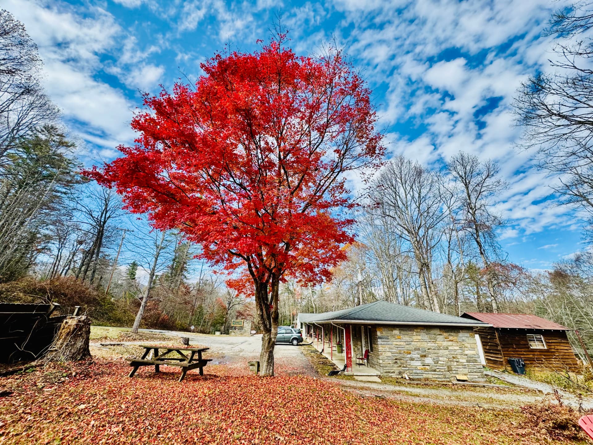 Crimson autumn maple above a picnic table, with the stone lodge building and a cabin behind